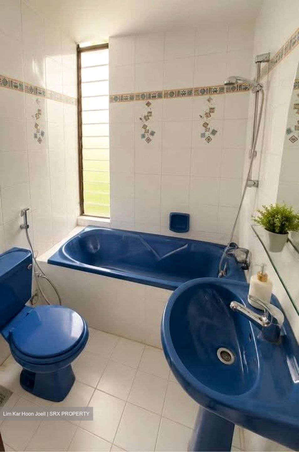 Pandan Valley (D21), Condominium #611946281